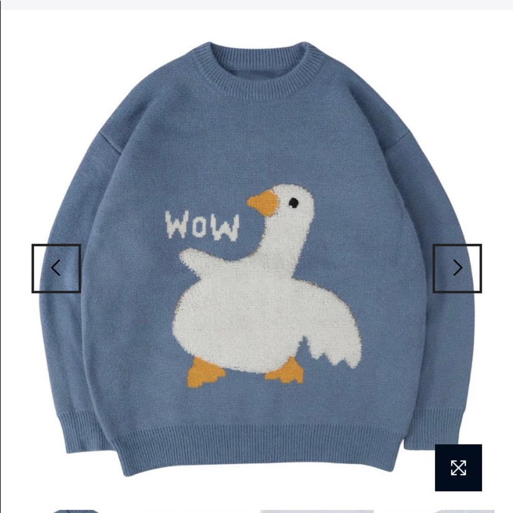 Aelfric Eden “wow” goose sweater
